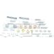 Bremsbacken montagesatz passend für LEXUS ES, LEXUS GS, LEXUS GX, LEXUS IS, LEXUS LS, LEXUS LX, LEXUS RX, LEXUS SC, TOYOTA 4 RUNNER, TOYOTA ALPHARD, TOYOTA ALPHARD / VELLFIRE, TOYOTA ALTEZZA, TOYOTA ALTEZZA GITA, TOYOTA ARISTO, TO
