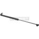 gasfeder heckklappe links passend für LEXUS LX, TOYOTA LAND CRUISER 100, TOYOTA (FAW) LAND CRUISER 100