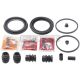 Bremssattel vorne, reparatursatz passend für INFINITI ESQ, NISSAN ALTIMA, NISSAN BLUEBIRD SYLPHY / SYLPHY, NISSAN JUKE, NISSAN SENTRA, NISSAN SUNNY, NISSAN TIIDA, NISSAN (DFAC) TIIDA