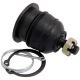 Traggelenk für querlenker hinten oben passend für HONDA ACCORD, HONDA ODYSSEY, HONDA SHUTTLE, HONDA SMX, HONDA STEPWGN