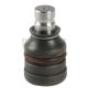 Traggelenk Für Querlenker Vorne Unten passend für EAGLE TALON, MITSUBISHI CARISMA, MITSUBISHI DION, MITSUBISHI ECLIPSE, MITSUBISHI GALANT, MITSUBISHI LANCER, MITSUBISHI LANCER CARGO, MITSUBISHI LANCER / VIRAGE, MITSUBISHI MIRAGE,