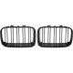DESIGNGRILL SET       E36, passend für 91-96         SPORT-OPTIK