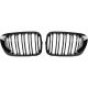 DESIGNGRILL SET       E46, passend für 99-03          SPORT-OPTIK