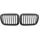 DESIGNGRILL SET       E46, passend für 98-01   LIMOUSINE/TOURING,