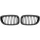 DESIGNGRILL SET       E46, passend für 03->>              SCHWARZ