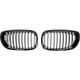 DESIGNGRILL SET       E46, passend für 03-06   SPORT-PERFORMANCE