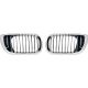 DESIGNGRILL  SET      E46, passend für 01-05    FÜR  LIM./TOURING 51137030546