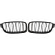 DESIGNGRILL SET       F30, passend für 11-19   SPORT-PERFORMANCE,