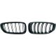 DESIGNGRILL SET       F34, passend für 13->>         SPORT-OPTIK