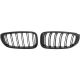 DESIGNGRILL SET      F34, passend für 13->>          SPORT-OPTIK