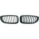 DESIGNGRILL SATZ      F34, passend für 13->>