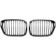 DESIGNGRILL SET  BMW  E39, passend für 95-03    SPORT-PERFORMANCE