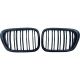 DESIGNGRILL SET       E39, passend für 95-03   SPORT-PERFORMANCE,