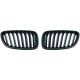 DESIGNGRILL SET    F22/23, passend für 13-17