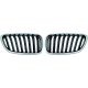 DESIGNGRILL SET    F22/23, passend für 13-17   SPORT-PERFORMANCE,
