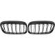 DESIGNGRILL SET    F45/46, passend für 12->>   SPORT-PERFORMANCE,