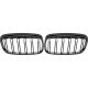 DESIGNGRILL SET    F45/46, passend für 14-17   SPORT-PERFORMANCE,