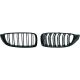 DESIGNGRILL SET F32/33/36, passend für 13-21          SPORT-OPTIK