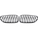 DESIGNGRILL SET        Z4, passend für 03-09    PERFORMANCE-OPTIK