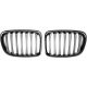 DESIGNGRILL SET       E84, passend für 09-15    PERFORMANCE-OPTIK