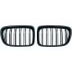DESIGNGRILL SET       E84, passend für 09-15   SPORT-PERFORMANCE,