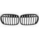 DESIGNGRILL SET       F48, passend für 15-06.19 PERFORMANCE-OPTIK