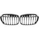DESIGNGRILL SET       F48, passend für 15-06.19 PERFORMANCE-OPTIK