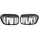DESIGNGRILL SET        F48 passend für 15-06.19       SPORT-OPTIK