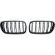 DESIGNGRILL SET       E83, passend für 06-11   SPORT-PERFORMANCE,