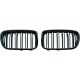 DESIGNGRILL SET       F25, passend für 10-14          SPORT-OPTIK