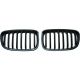 DESIGNGRILL SATZ  F20/F21, passend für 11-15