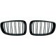 DESIGNGRILL SET       F20, passend für 11-15   SPORT-PERFORMANCE,
