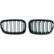 DESIGNGRILL SET       F20, passend für 11-15   SPORT-PERFORMANCE,