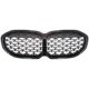 DESIGNGRILL           F40, passend für 20-24       SPORT-TECHNIK,