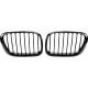 DESIGNGRILL SET        X5, passend für 99-03    PERFORMANCE-OPTIK
