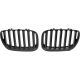 DESIGNGRILL SET        X5, passend für 03-07   PERFORMANCE-OPTIK