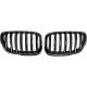 DESIGNGRILL SET        X5, passend für 03-07   PERFORMANCE-OPTIK