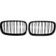 DESIGNGRILL SET     X5/X6, passend für 07-13         SPORT-OPTIK