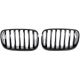 DESIGNGRILL SET     X5/X6, passend für 07-13    PERFORMANCE-OPTIK