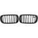 DESIGNGRILL SET     X5/X6, passend für 13-19