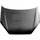 MOTORHAUBE          FOCUS, passend für 98-04 1064062