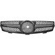 DESIGNGRILL          W209, passend für 02-09            SL-OPTIK