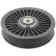 Umlenkrolle passend für BUICK CENTURY, BUICK REGAL, CHEVROLET BLAZER S10, CHEVROLET TAHOE, FIAT ULYSSE, FORD TRANSIT, FORD AUSTRALIA F-150, FORD AUSTRALIA FAIRLANE, FORD USA F-53, HOLDEN RODEO, INFINITI M, INFINITI Q70, ISUZU ASKA