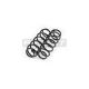 Schraubenfeder hinterachse satz passend für AUDI A3, VW GOLF, VW GOLF VAN, VW NEW BEETLE