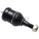 Traggelenk Für Querlenker Vorne Unten passend für CHRYSLER CARAVAN, CHRYSLER GRAND CARAVAN, CHRYSLER PACIFICA, CHRYSLER VOYAGER, CHRYSLER VOYAGER / GRAND VOYAGER, DODGE CARAVAN