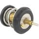 Thermostat passend für AUDI A3, AUDI A4, AUDI A4 Allroad, AUDI A5, AUDI A6, AUDI Q3, AUDI Q5, AUDI TT, SEAT ALHAMBRA, SEAT ALTEA, SEAT ALTEA XL, SEAT EXEO, SEAT LEON, SEAT TOLEDO, SKODA OCTAVIA, SKODA SUPERB, SKODA YETI, SKODA (SV