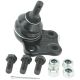 Traggelenk Für Querlenker Vorne Unten passend für RENAULT FLUENCE, RENAULT GRAND SCÉNIC, RENAULT MEGANE, RENAULT MEGANE CC, RENAULT SCÉNIC