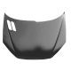 MOTORHAUBE    PEUGEOT 206, passend für 98-08 7901G7
