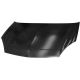 MOTORHAUBE   RENAULT CLIO, passend für 45778 7751473024