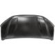 MOTORHAUBE        SANDERO, passend für 21->>           